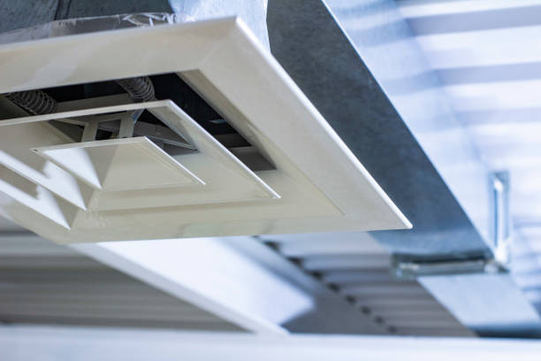 Best Professional Duct Cleaning Services  in Duson, LA