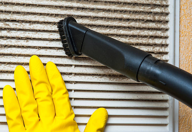 Best Residential Air Duct Cleaning  in Duson, LA